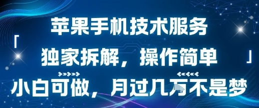 苹果手机技术服务，独家拆解，操作简单，小白可做，月过1W不是梦-整合资源网