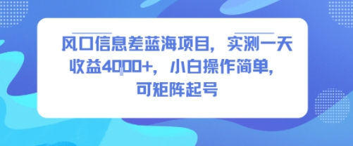 风口信息差蓝海项目，实测一天收益4k+，小白操作简单，可矩阵起号-整合资源网