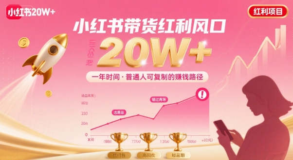 一年时间靠小红书带货项目年入20w+，最不能错的大红利项目-整合资源网