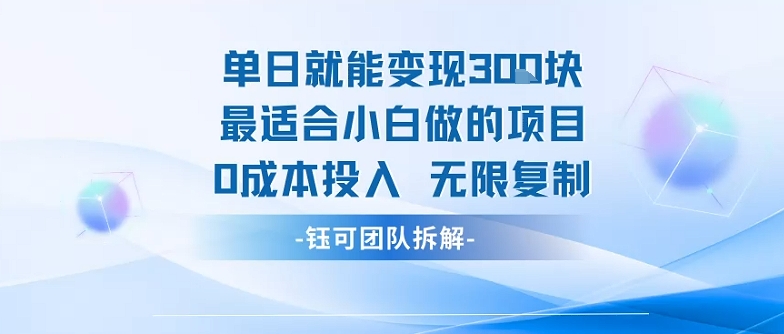 单日就能变现3张最适合小白做的项目0成本投入 无限复制-整合资源网
