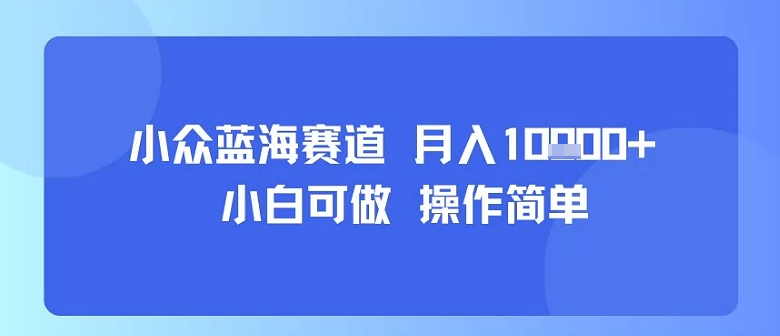 小众蓝海赛道，小白可做，操作简单，每天30分钟，月入1W+-整合资源网
