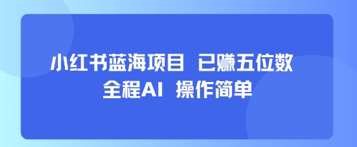 小红书蓝海项目，全程AI，操作简单，已挣五位数-整合资源网