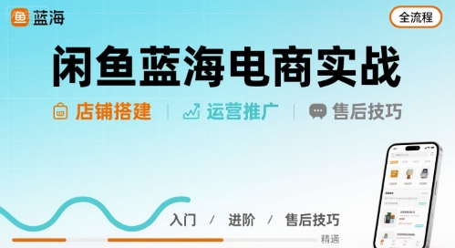 闲鱼蓝海电商实战，店铺搭建运营售后全流程-整合资源网