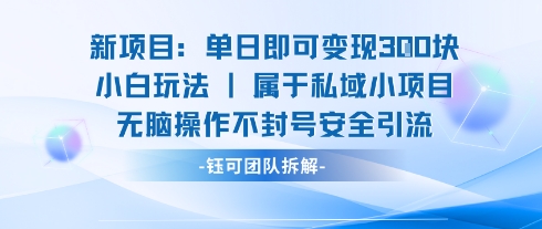 新项目单日即可变现3张的小白玩法无脑操作不封号安全引流-整合资源网