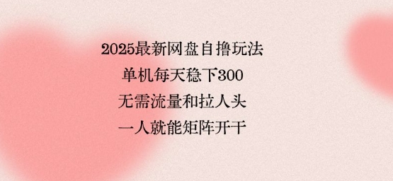 2025最新网盘自撸玩法，单机每天稳下3张，无需流量和拉人头，一个人就可轻松矩阵，全网独一份【揭秘】-整合资源网