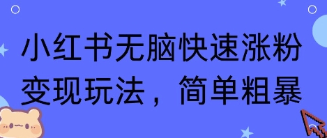 小红书无脑快速涨粉变现玩法，简单粗暴-整合资源网