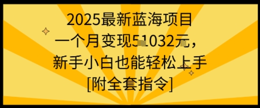 2025最新蓝海项目一个月变现1w+新手小白也能轻松上手【附全套指令】-整合资源网