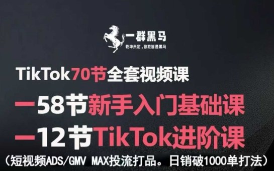 TikTok全套视频课，新手入门+进阶课，短视频ADS-GMV MAX投流打品，日销破1000单打法-整合资源网