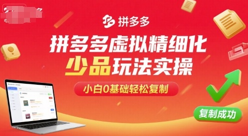 拼多多虚拟精细化少品玩法实操，小白0基础轻松复制-整合资源网