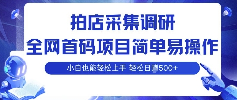 拍店采集调研，全网首码项目，简单易操作， 小白也能轻松上手，多账号操作，轻松日入5张【揭秘】-整合资源网